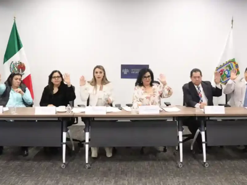 Aprueba Comisión del Congreso exhorto para que municipios resguarden y den en adopción a perros en situación de calle