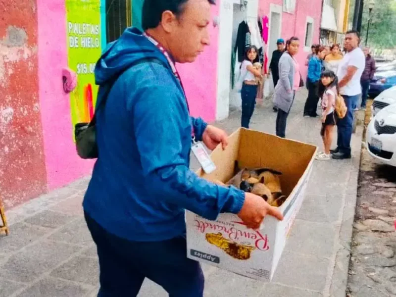 Ayuntamiento de Puebla decomisa animales en venta durante operativo en el Barrio de Analco