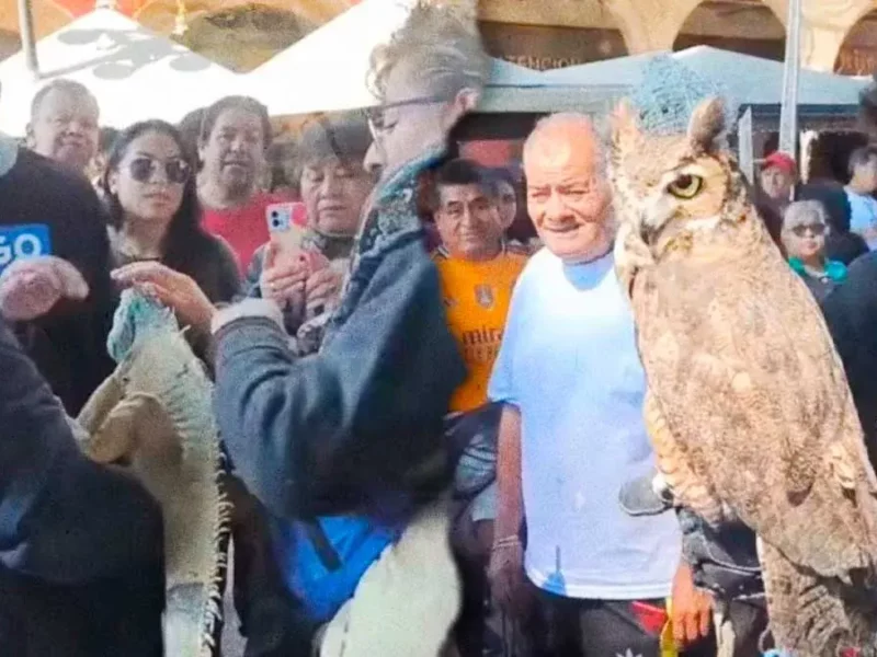 Exhibición de animales exóticos en zócalo de Puebla provoca críticas y deslinde de Bienestar Animal