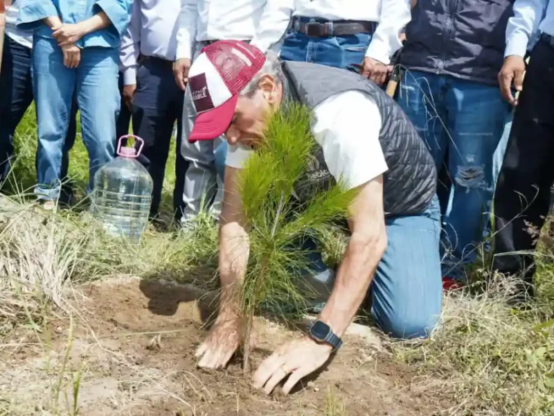 Puebla capital refuerza su compromiso ambiental: meta de plantar 100 mil árboles para 2026