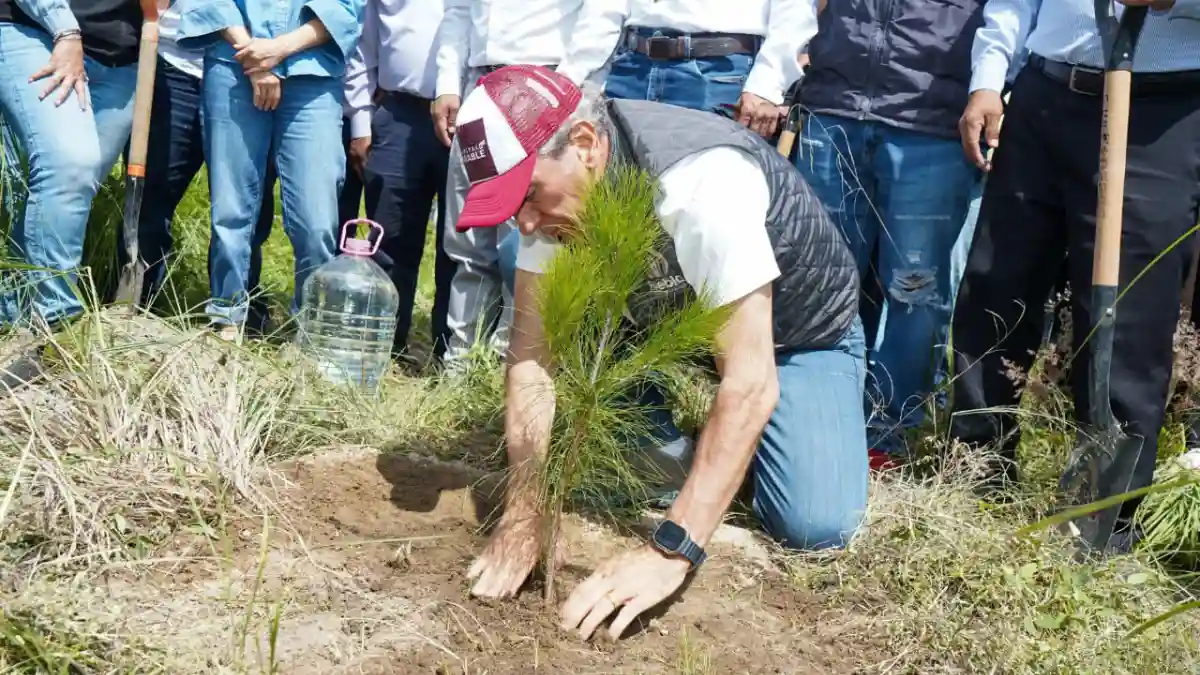 Puebla capital refuerza su compromiso ambiental: meta de plantar 100 mil árboles para 2026