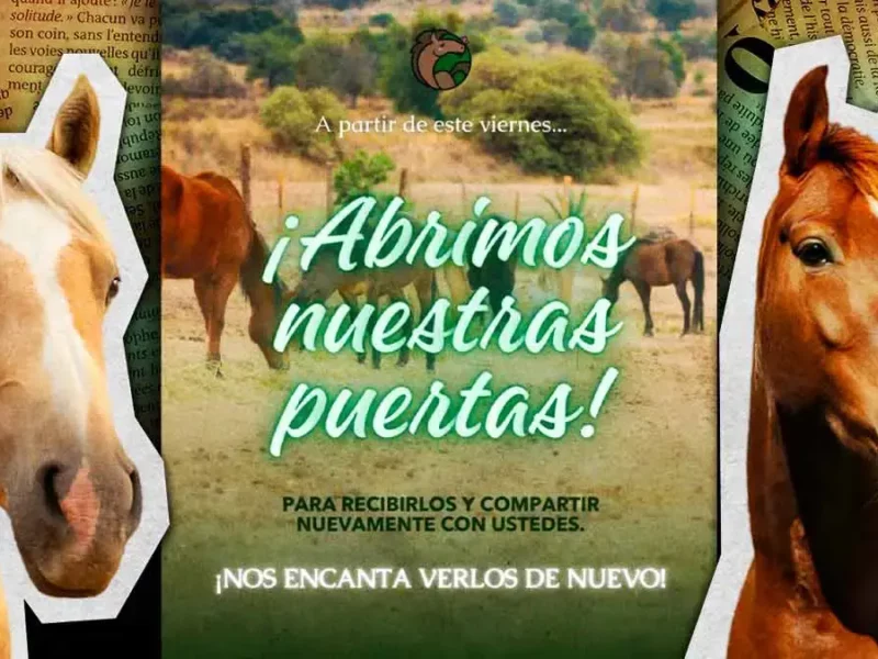 Cuacolandia abrirá sus nuevas instalaciones en Tlaxco, Tlaxcala