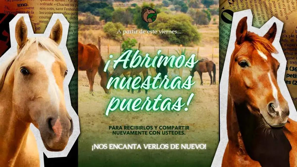Cuacolandia abrirá sus nuevas instalaciones en Tlaxco, Tlaxcala