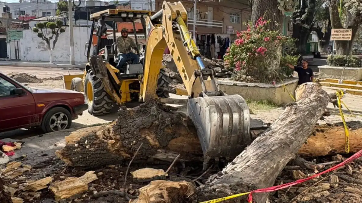 Atendió Protección Civil de Texmelucan reporte de caída de rama de árbol en Carril de San Miguel