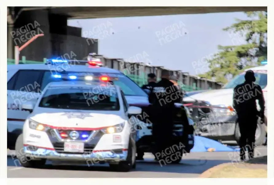Repartidor en motocicleta murió tras ser embestido por tractocamión en el puente de La María, Puebla