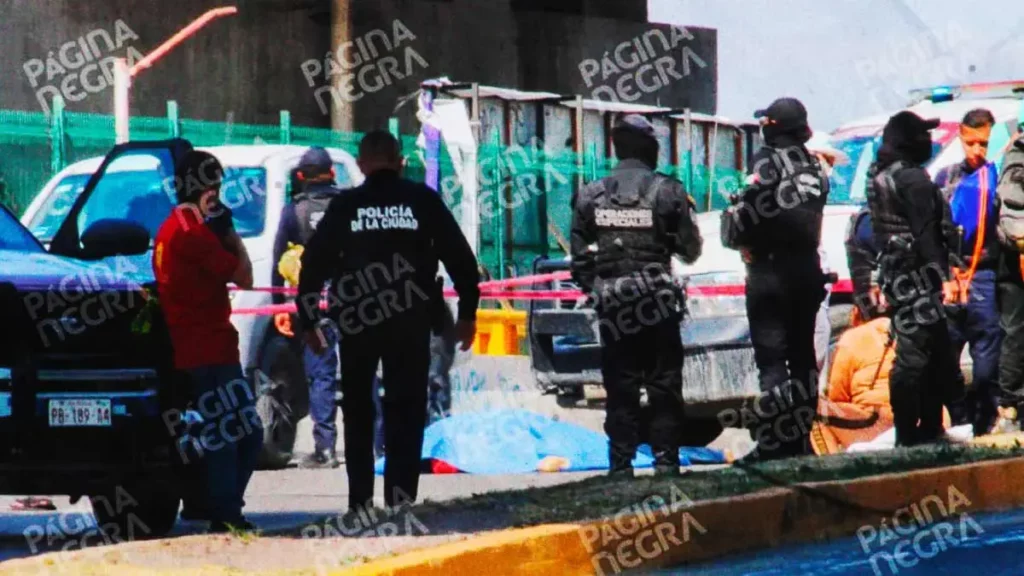 Repartidor en motocicleta murió tras ser embestido por tractocamión en el puente de La María, Puebla