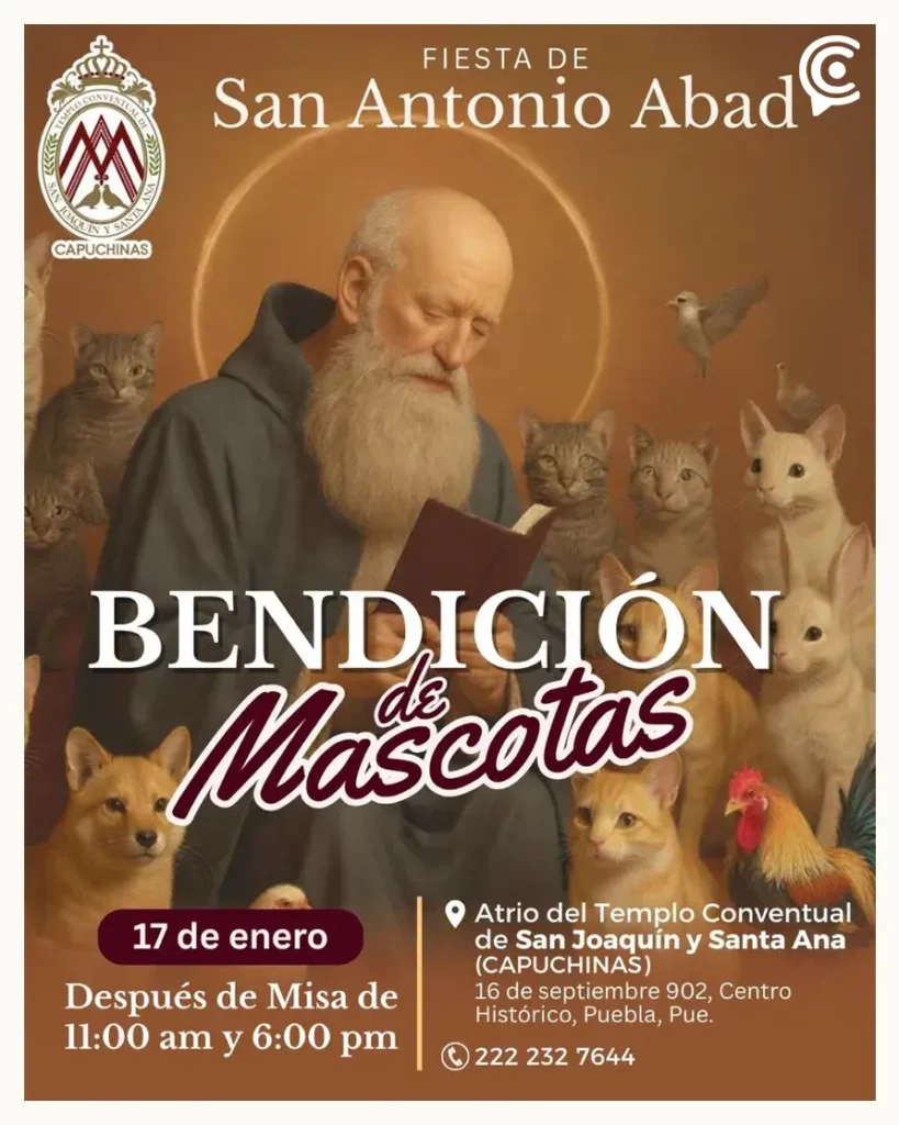 Estas parroquias de Puebla bendecirán mascotas durante la celebración de San Antonio Abad
