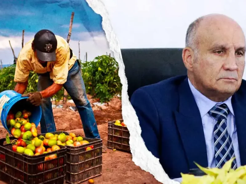 Puebla capacitará a pequeños productores para surtir alimentos del campo a escuelas públicas