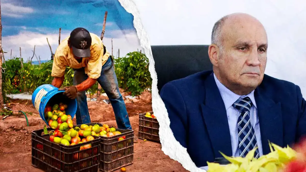 Puebla capacitará a pequeños productores para surtir alimentos del campo a escuelas públicas
