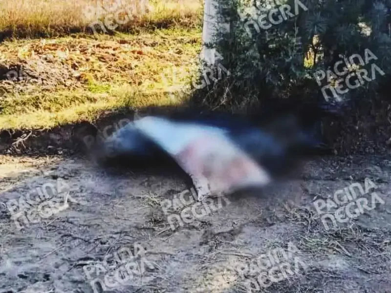 Abandonaron restos humanos embolsados con mensaje de amenaza en Santa Rita Tlahuapan, Puebla