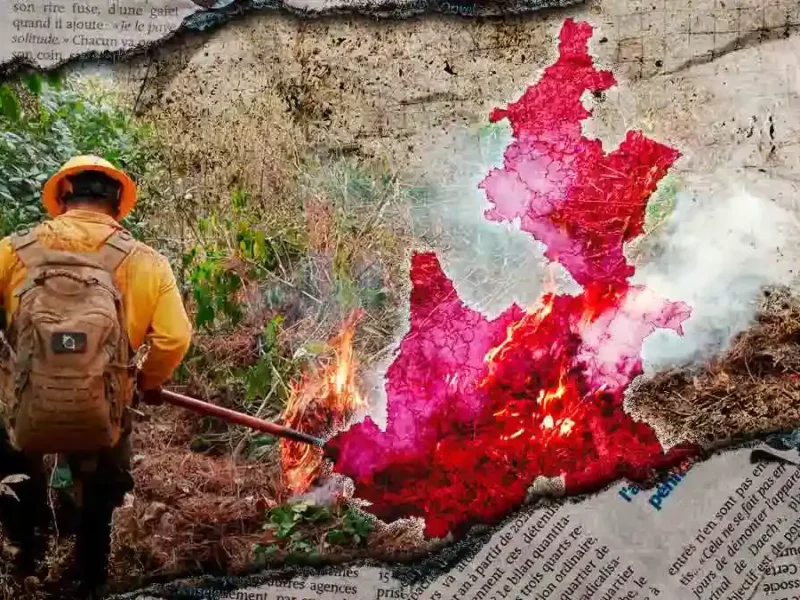 Puebla registra seis incendios forestales en enero 2026; mayoría fueron provocados