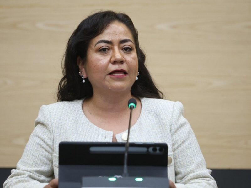 Impulsa diputada Celia Bonaga regular la coordinación entre seguridad pública y privada en fraccionamientos