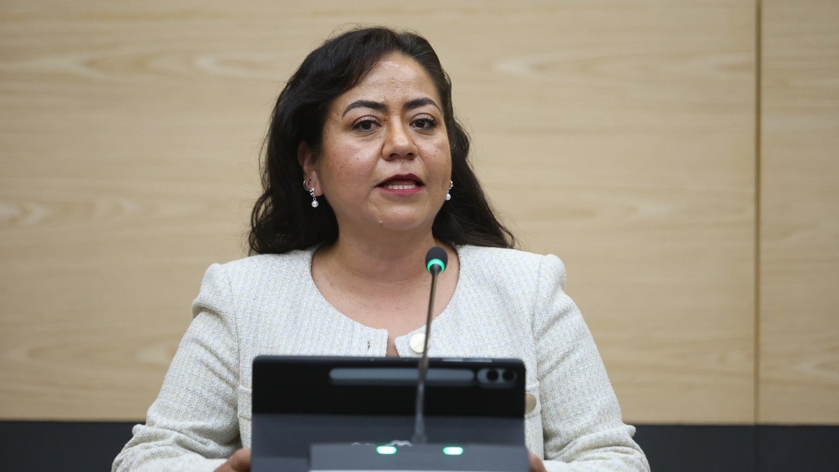 Impulsa diputada Celia Bonaga regular la coordinación entre seguridad pública y privada en fraccionamientos
