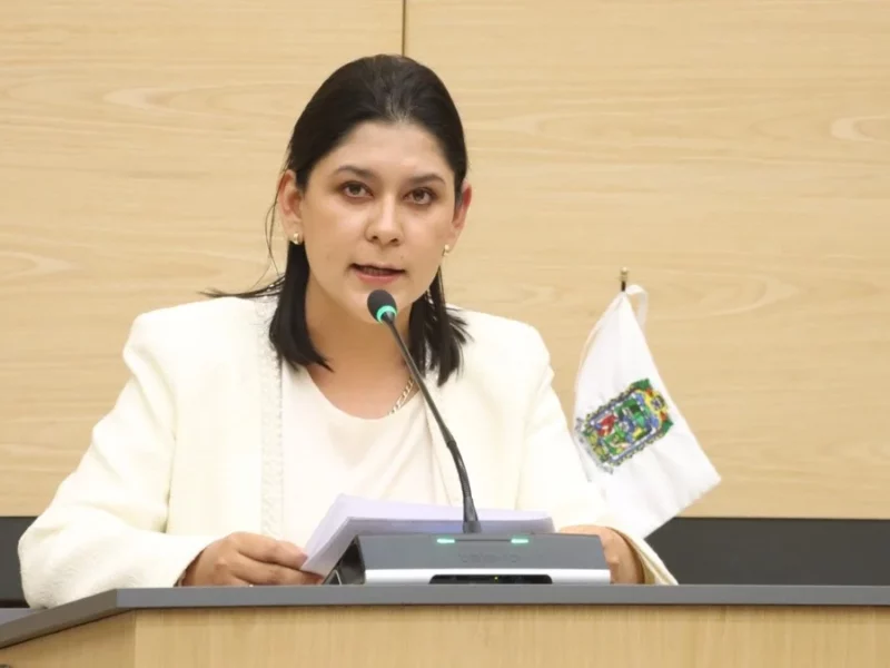 Reconocer la rapiña como delito, propone la diputada Ana Lilia Tepole