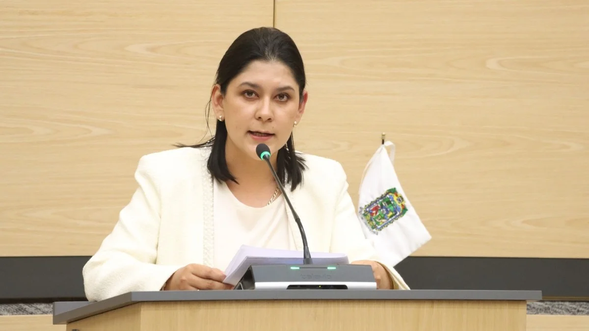 Reconocer la rapiña como delito, propone la diputada Ana Lilia Tepole