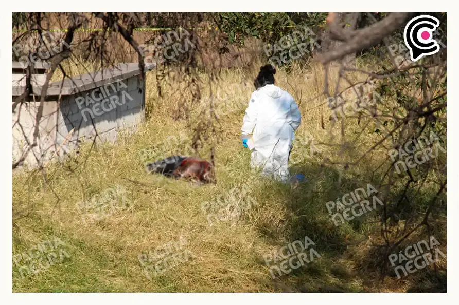 Encuentran a hombre ejecutado con tiro de gracia en camino a Galaxia La Calera, Puebla