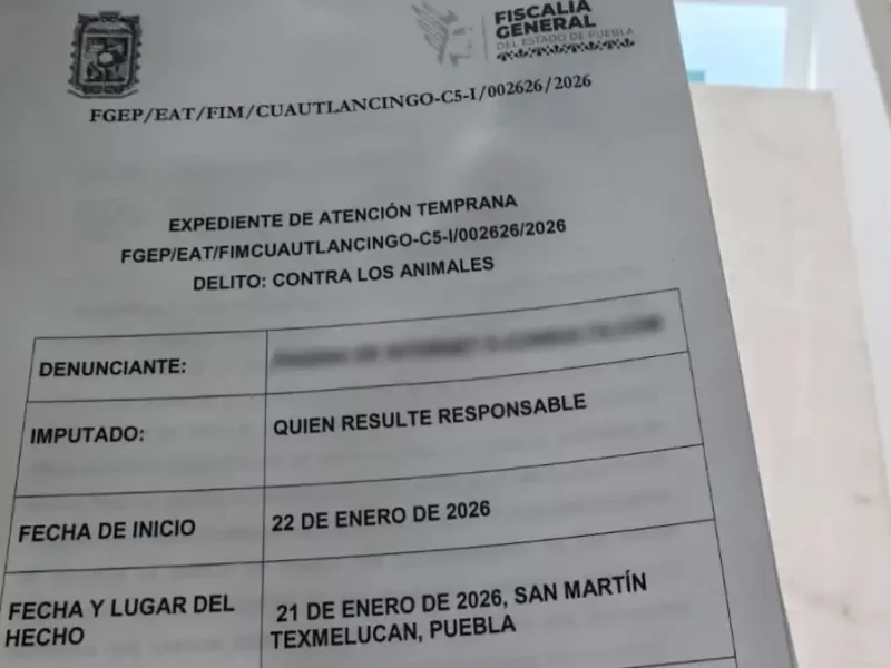 Atendió Bienestar Animal de Texmelucan reportes de maltrato animal a seres sintientes