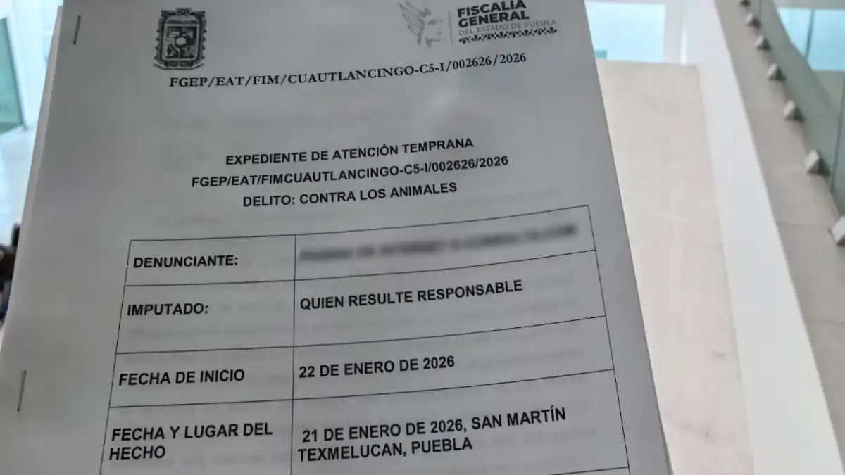 Atendió Bienestar Animal de Texmelucan reportes de maltrato animal a seres sintientes