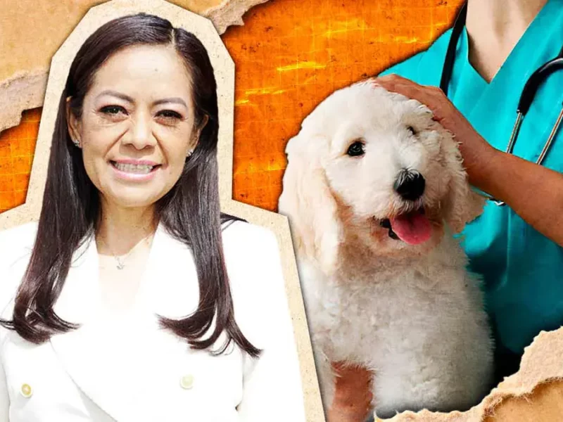 Ariadna Ayala impulsa jornadas gratuitas de servicios veterinarios en colonias de Atlixco