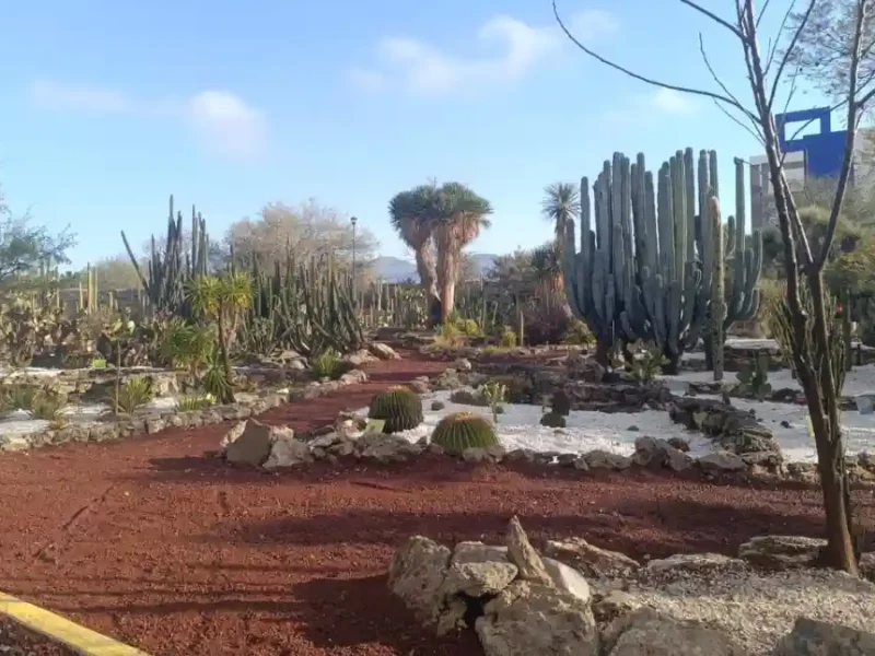 Gobierno de Tehuacán impulsa la rehabilitación del Jardín Botánico y del vivero municipal