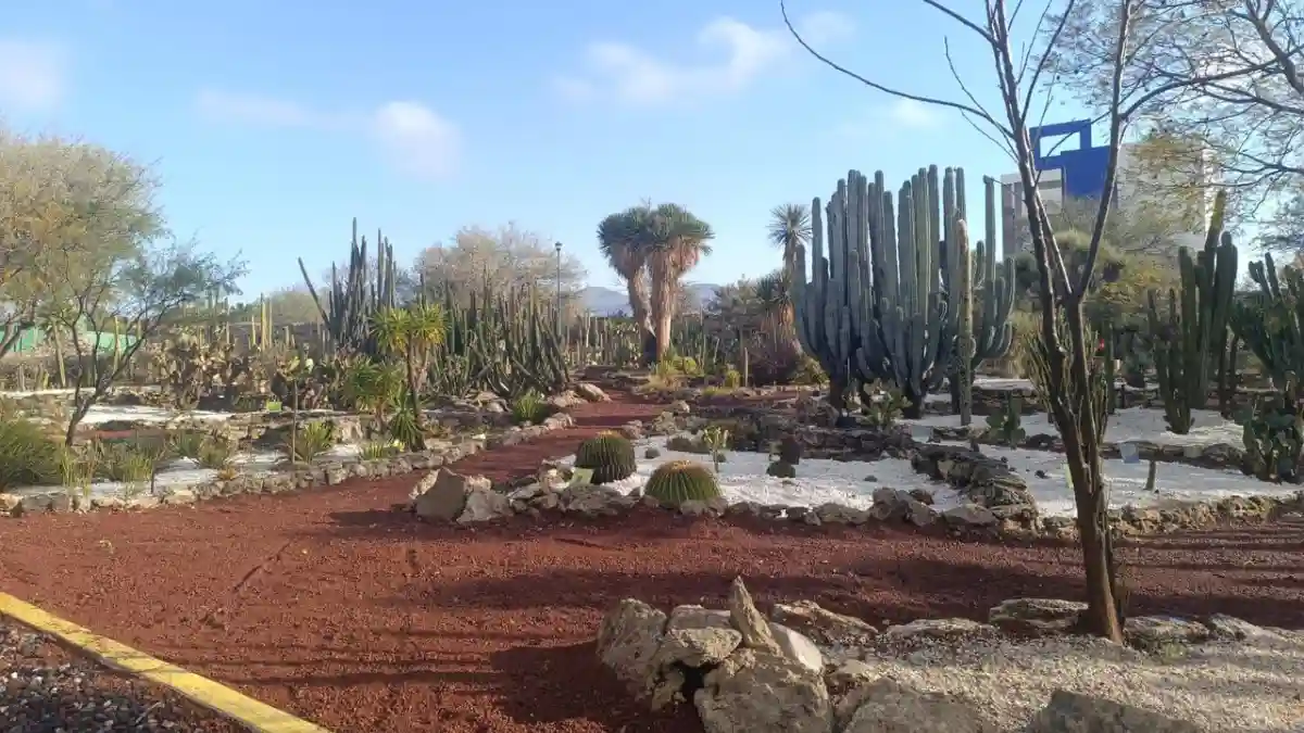 Gobierno de Tehuacán impulsa la rehabilitación del Jardín Botánico y del vivero municipal