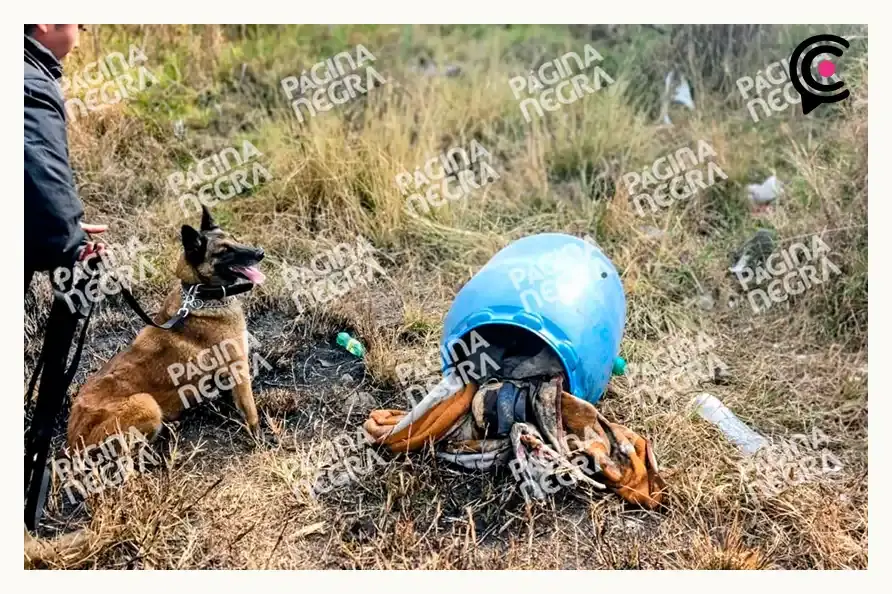 Abandonan restos humanos dentro de un tambo en la colonia Venustiano Carranza, Puebla