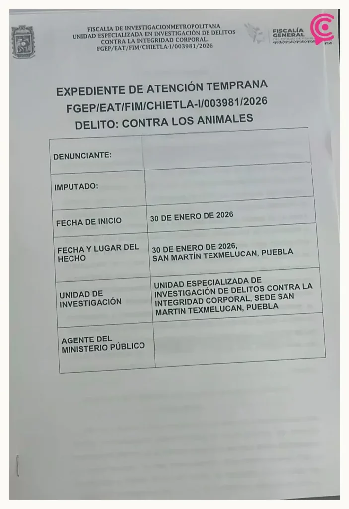 Presentó Bienestar Animal de Texmelucan denuncia contra maltrato de seres sintientes
