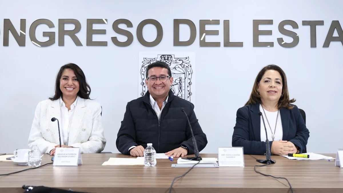 Crear Agencias de Colocación Especializadas para personas con discapacidad, propone la diputada Soledad Amieva