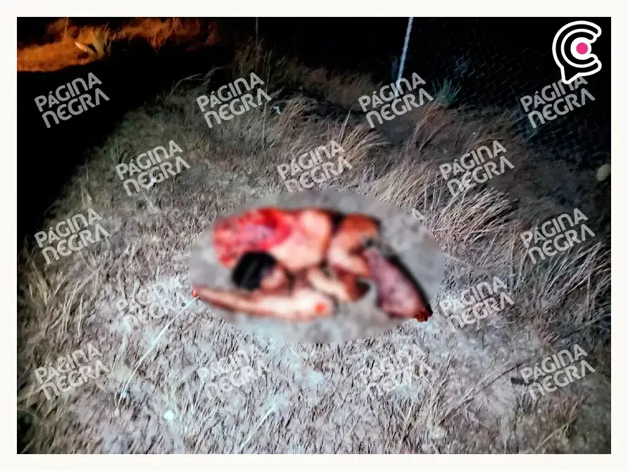 Abandonan cuerpo desmembrado con mensaje de amenaza en Valsequillo, Puebla