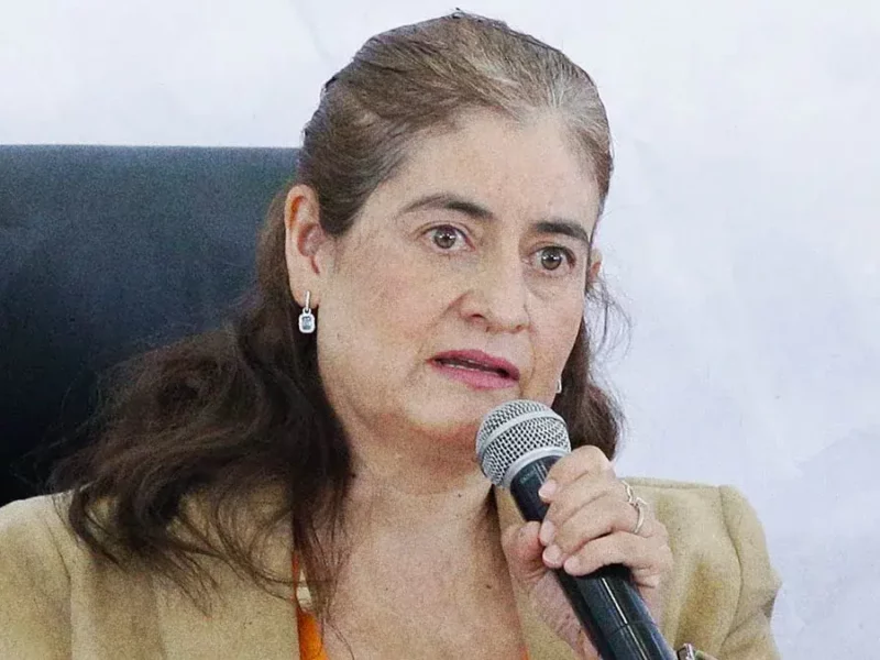 Científicos de Puebla podrían encabezar Secretaría de Ciencia y Tecnología: Celina Peña