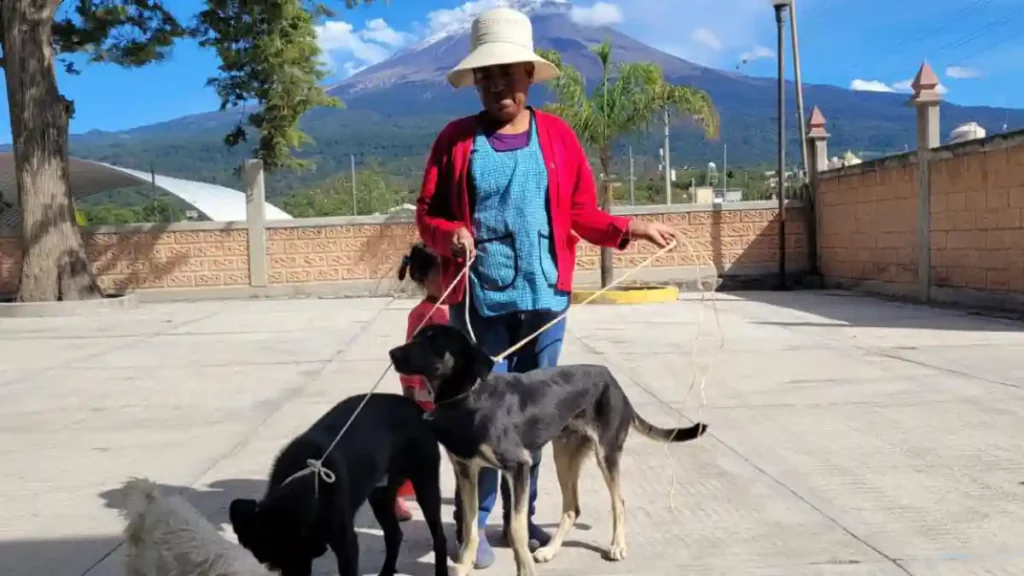 Por una tenencia responsable, Ariadna Ayala invita a jornada de esterilización este 25 de febrero en Atlixco