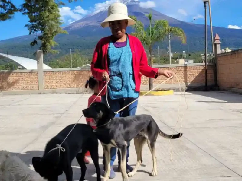 Por una tenencia responsable, Ariadna Ayala invita a jornada de esterilización este 25 de febrero en Atlixco