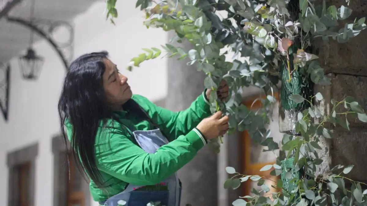 Capacitan a mujeres de Zacatlán para que emprendan en el negocio de florería