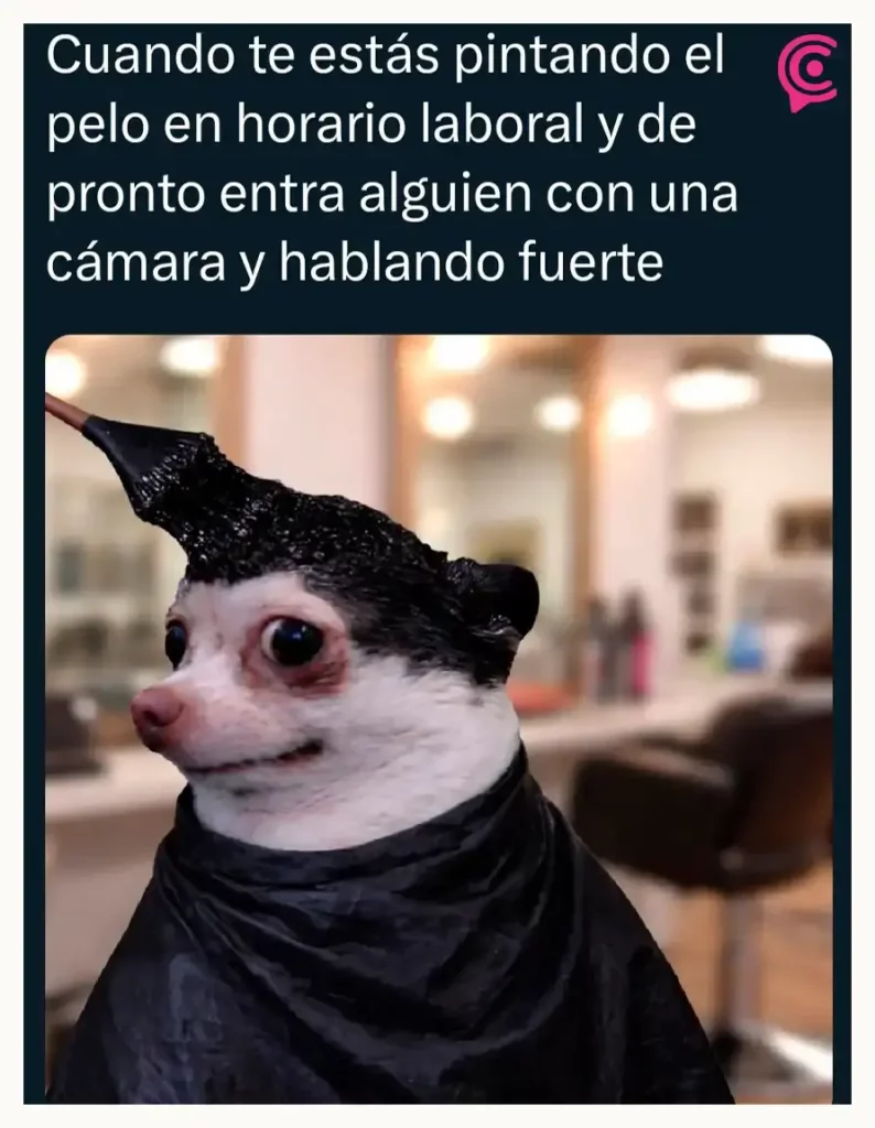 Salón de belleza en el Senado de la República desata críticas, burlas y memes virales en internet