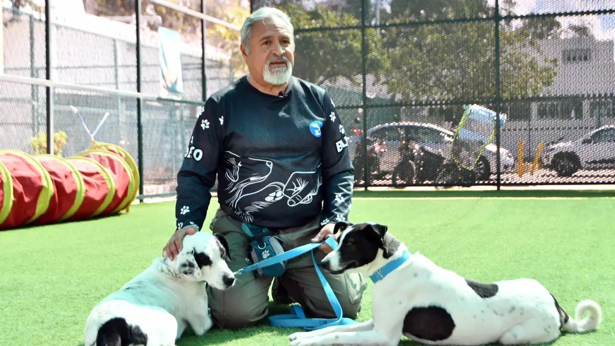 CAETO, un espacio que preserva el bienestar de sus coterapeutas caninos