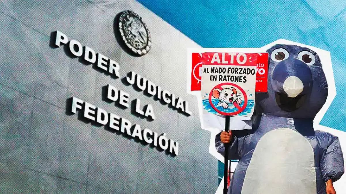 Poder Judicial federal suspende definitivamente prueba de nado forzado en Puebla 