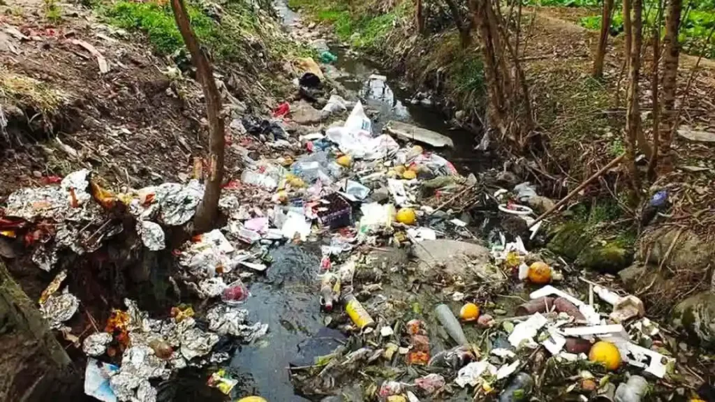Montoneras de basura sepultan las juntas auxiliares de Tlacuilotepec; pobladores señalan al alcalde