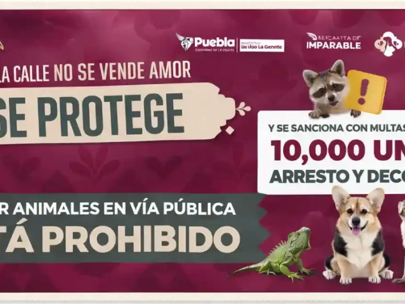 Se refuerzan acciones para regular venta de animales en vía pública por instrucciones de Pepe Chedraui