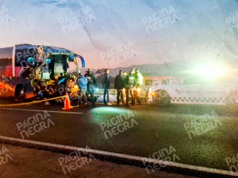 Chofer de autobús turístico murió en choque contra tractocamión en Palmar de Bravo, Puebla