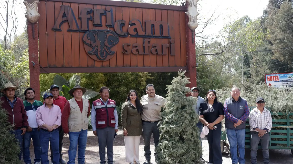 Entrega Tonantzin Fernández 270 árboles navideños naturales a Africam Safari