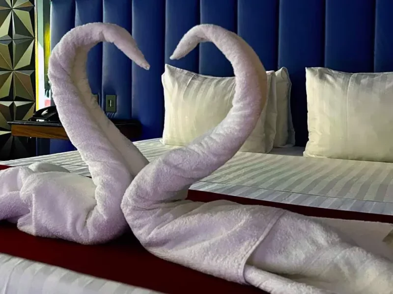 Celebra 14 de febrero en Motel Boutique Alice de Puebla, un lugar de cinco estrellas