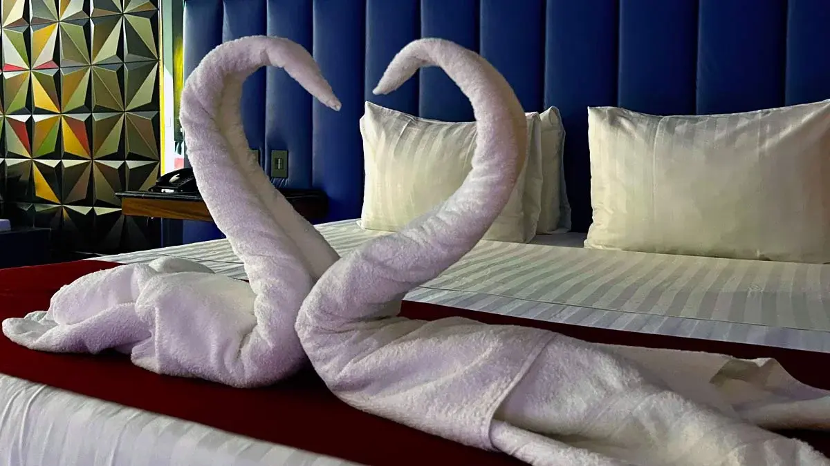 Celebra 14 de febrero en Motel Boutique Alice de Puebla, un lugar de cinco estrellas