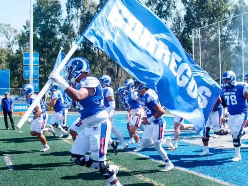 ONEFA presenta el calendario oficial de la temporada 2026