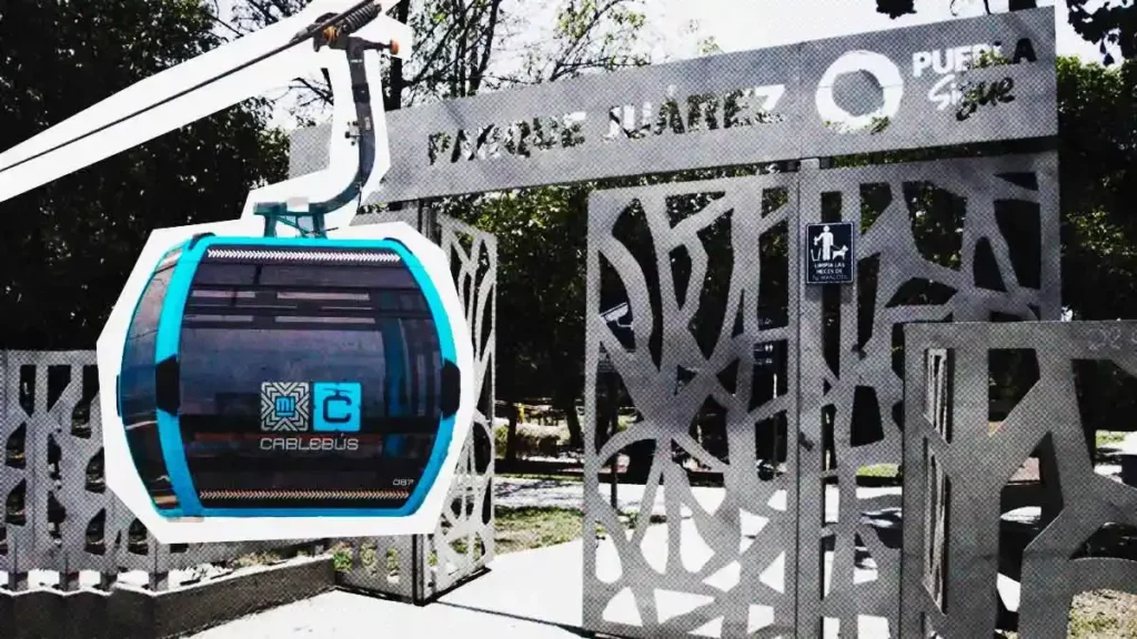 Cablebús obliga a reubicar 280 árboles en Puebla; mayoría del Parque Juárez