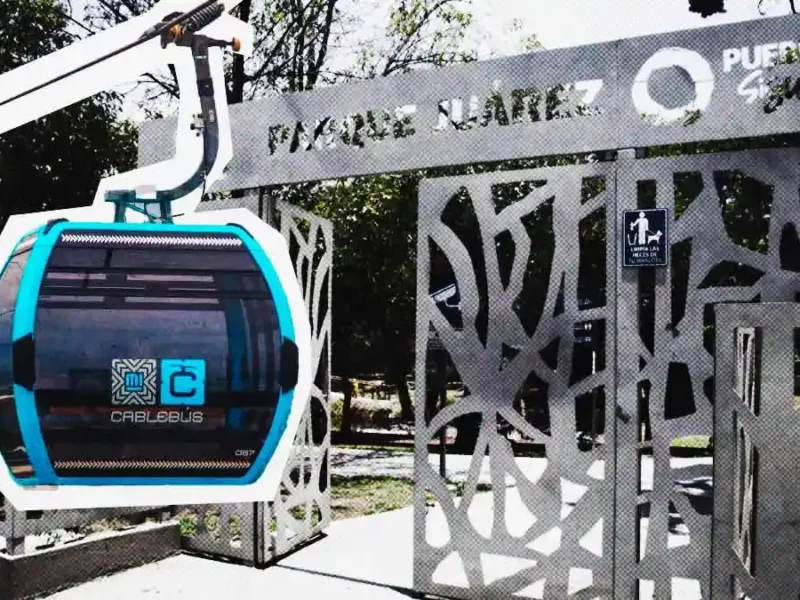 Cablebús obliga a reubicar 280 árboles en Puebla; mayoría del Parque Juárez
