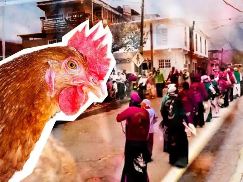 Habitantes justifican decapitación de gallinas en Carnaval de Xaltepuxtla, Puebla
