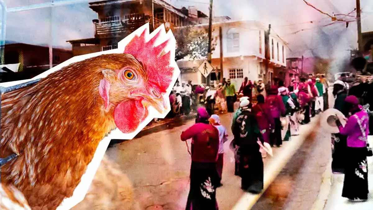 Habitantes justifican decapitación de gallinas en Carnaval de Xaltepuxtla, Puebla