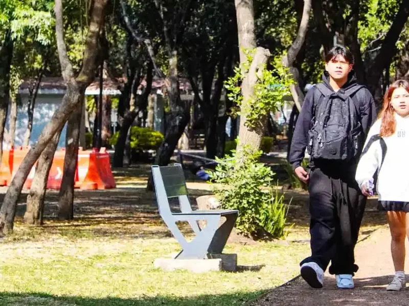 Defensores de árboles exigen consulta ciudadana para evitar tala en Parque Juárez de Puebla