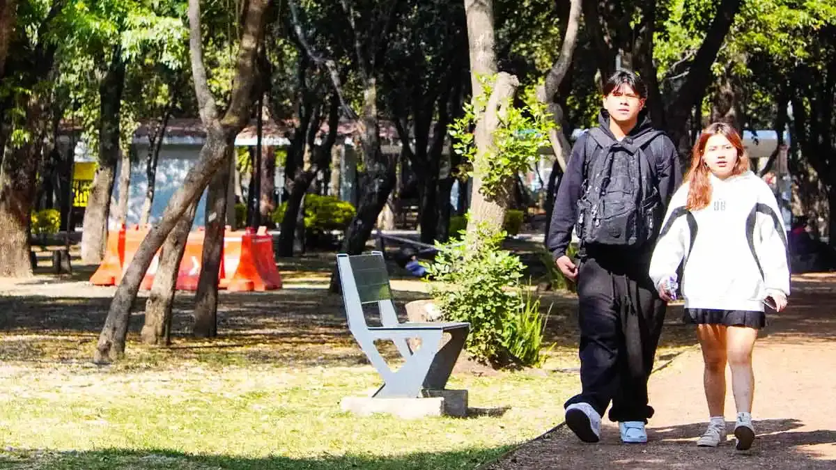 Defensores de árboles exigen consulta ciudadana para evitar tala en Parque Juárez de Puebla