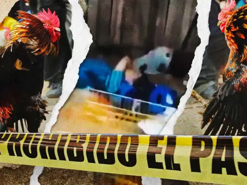Asesinan a un hombre tras riña en pelea de gallos de Chietla, Puebla
